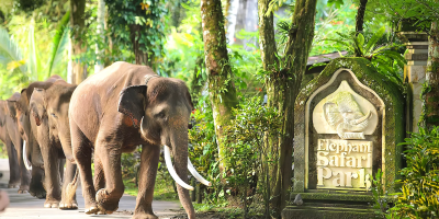 8fde371e-635e-4dbd-8210-de2d24b82c96-1700199213448-47b418484ad6ff737711b89eeaae681d